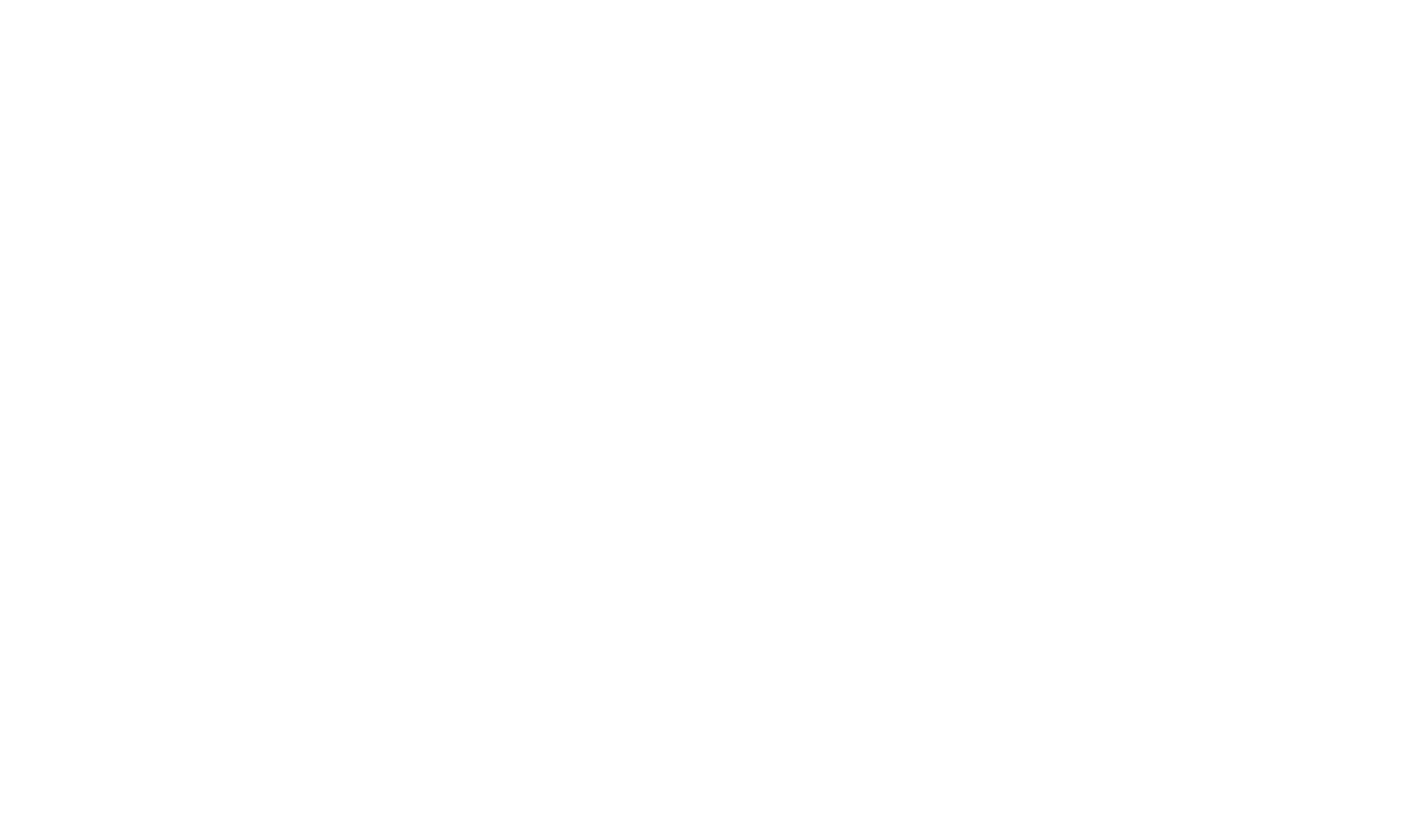 IPV Verband Logo